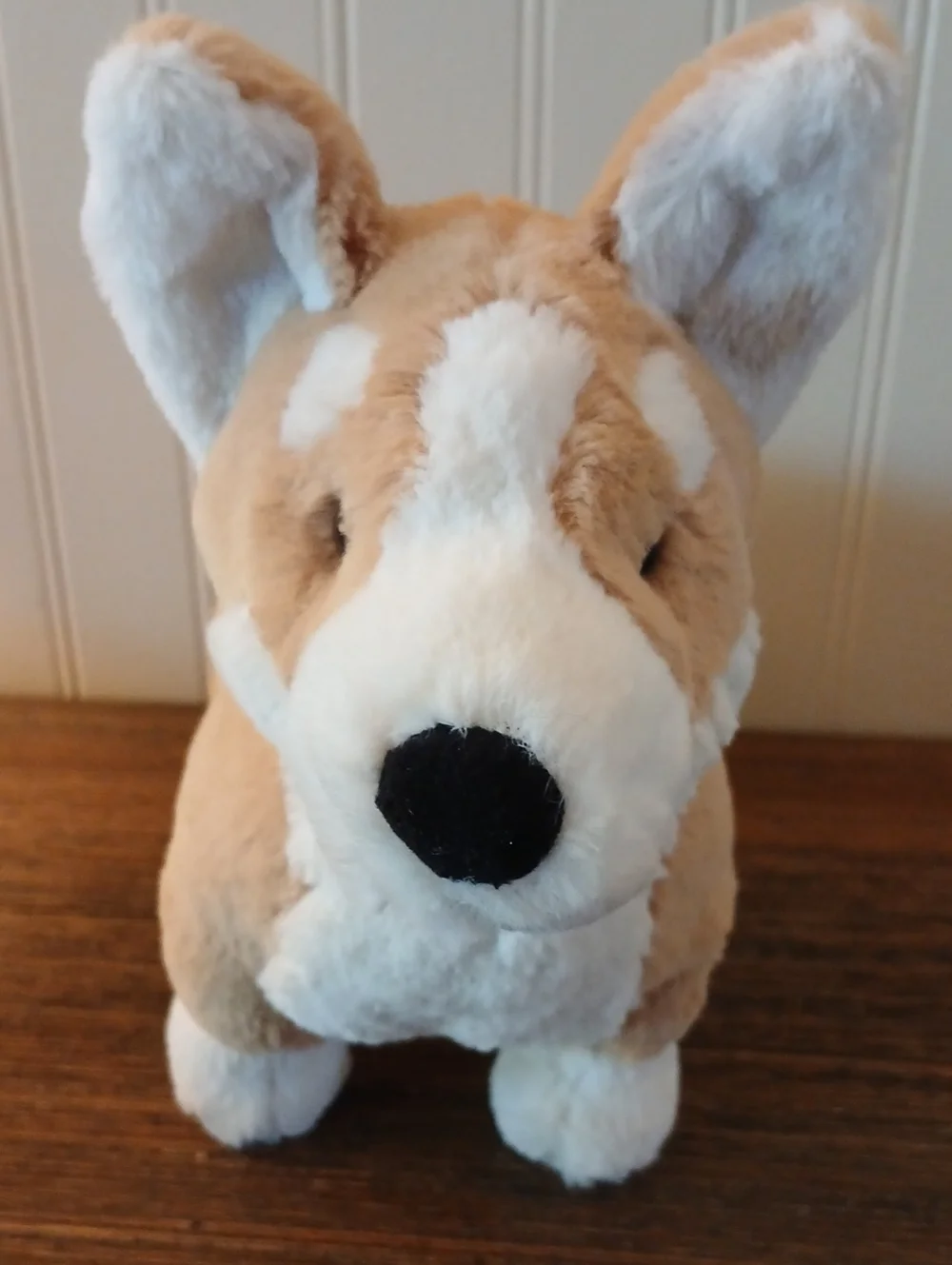 Jellycat Betty Corgi soft Tan/white Plush Dog Corgi Stuffie, Dog Plusie